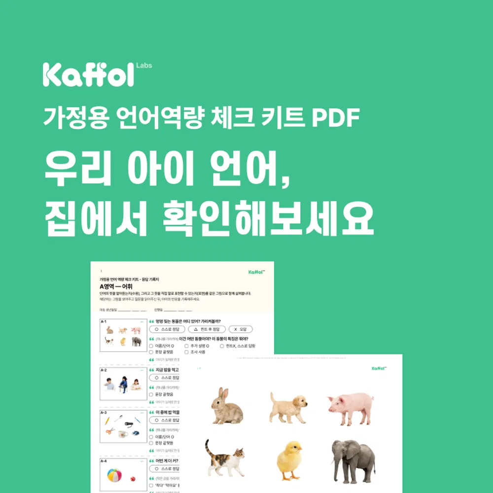 가정용 언어 역량 체크키트